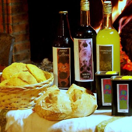 Agriturismo La Terra 발리아노 외부 사진