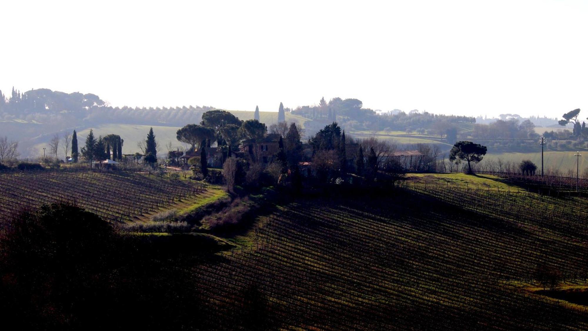Agriturismo La Terra 발리아노 외부 사진