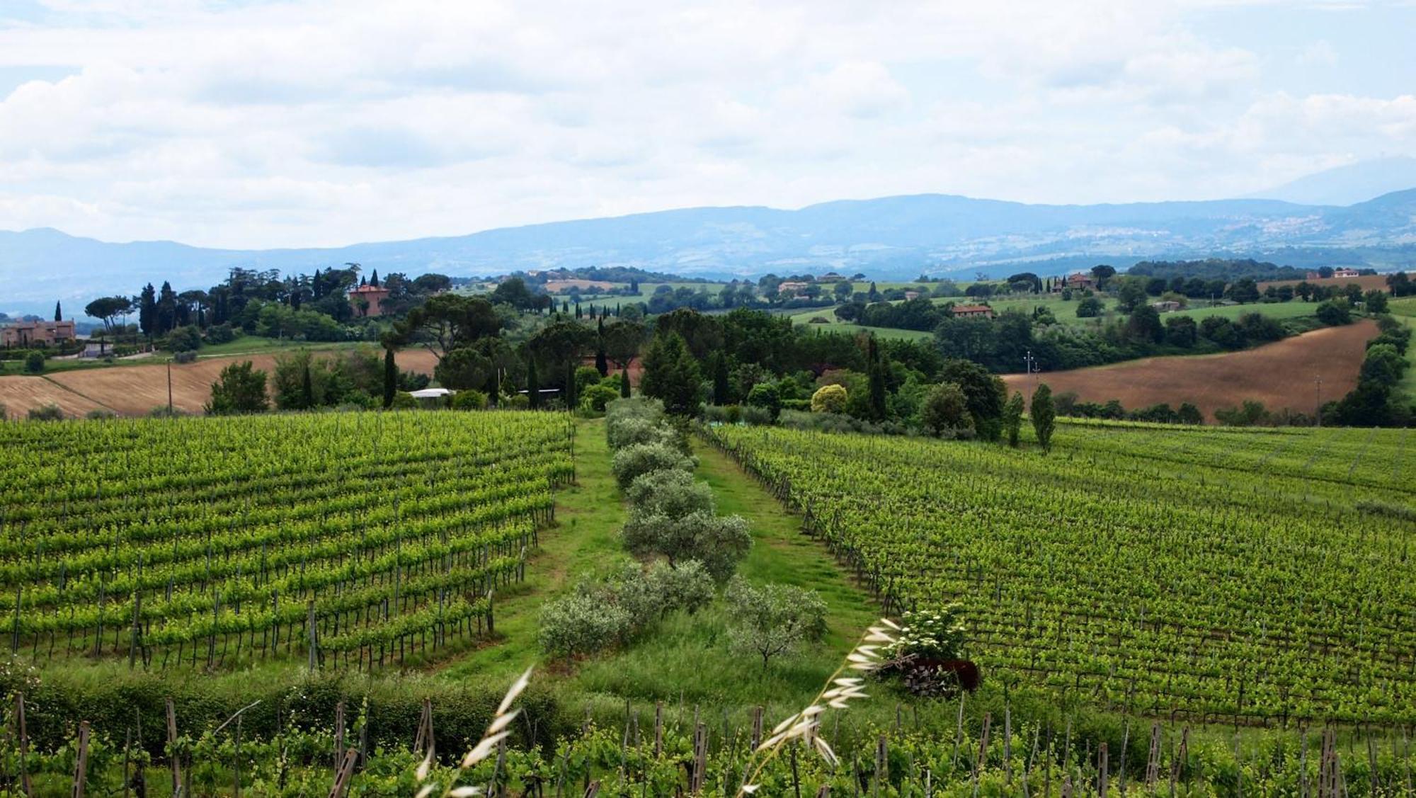 Agriturismo La Terra 발리아노 외부 사진