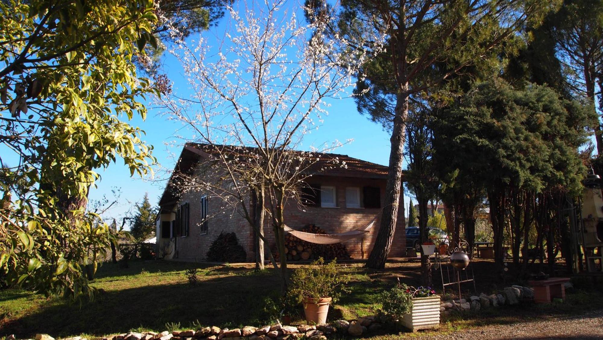 Agriturismo La Terra 발리아노 외부 사진