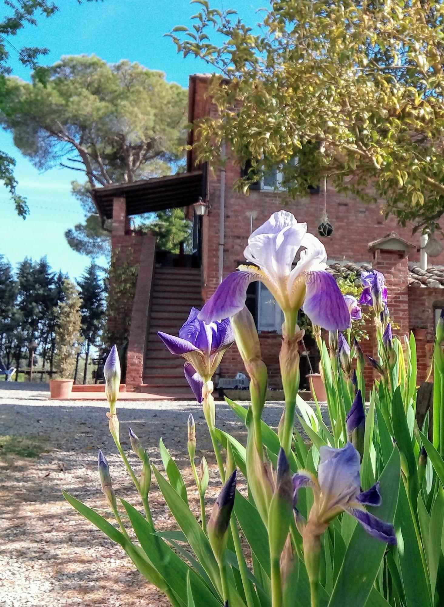 Agriturismo La Terra 발리아노 외부 사진