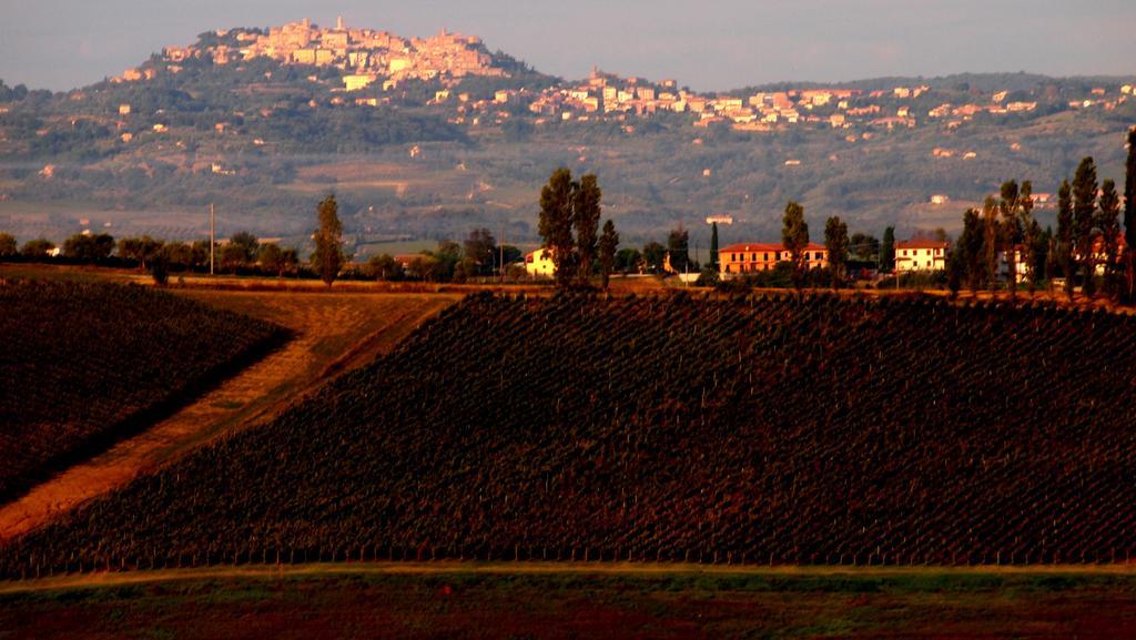 Agriturismo La Terra 발리아노 외부 사진