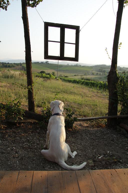 Agriturismo La Terra 발리아노 외부 사진