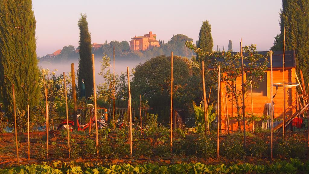 Agriturismo La Terra 발리아노 외부 사진